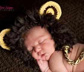 pdf crochet pattern( how to tutorial) Lion hat size 0-3 month only