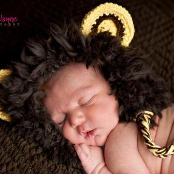 pdf crochet pattern( how to tutorial) Lion hat size 0-3 month only